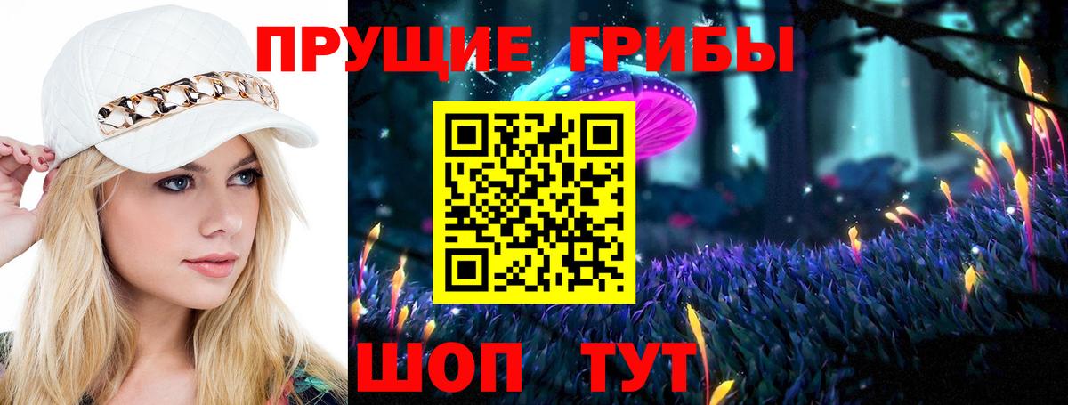 Галлюциногенные грибы Psilocybe Дальнереченск